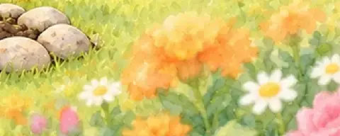 Orange marigolds and daisies in the Memory Garden.